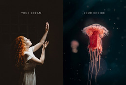 Your Dream Your Choice WordPress Theme