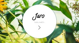 Pružte Svůj Svět – Stažení Šablony Webu