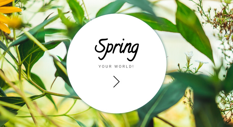 Spring your world  Homepage Design
