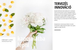 Tervezési Innováció – A Legjobb Webhelytervezés