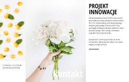 Projektowanie Innowacji