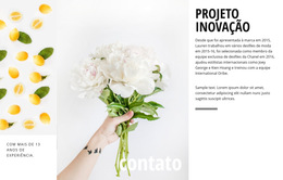 Inovação De Design - Melhor Modelo De Site