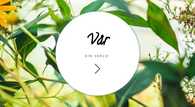 Vår din värld CSS -mall