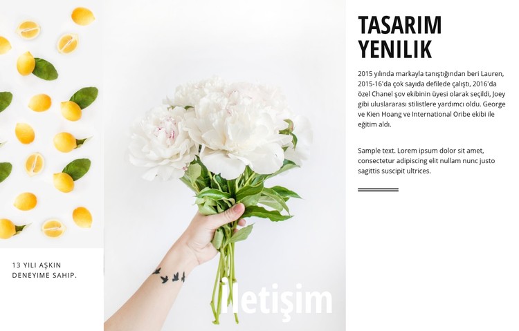 Tasarım yeniliği CSS Şablonu