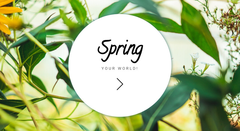 Spring your world  Wix Template Alternative