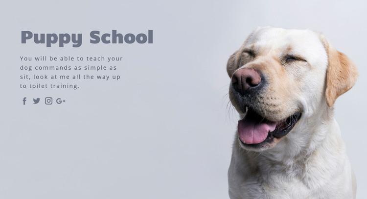 Basic obedience training Homepage Design