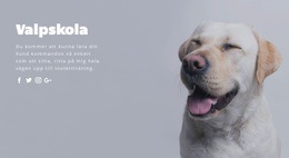 Grundläggande Lydnadsträning #Templates-Sv-Seo-One-Item-Suffix