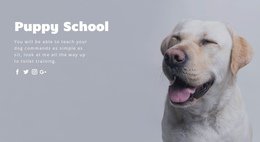 Basic Obedience Training Website Editor Free