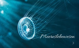 Meereslebewesen Vorlage