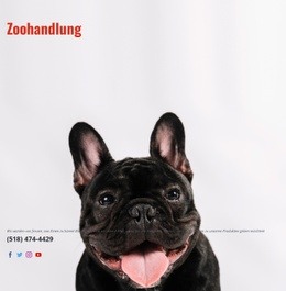 Mehrzweck-Landingpage Für Fachgeschäft