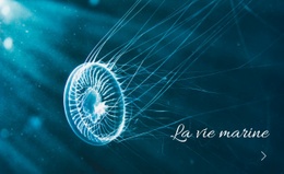 La Vie Marine - HTML Writer