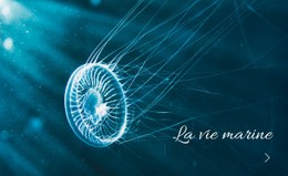 La Vie Marine Modèles Html5 Réactifs Gratuits