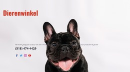 Speciaalzaak - Premium-Elementensjabloon