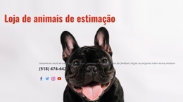 Página De Destino Multifuncional Para Loja Especializada