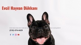 Özel Dükkan - En Iyi Tek Sayfalık Şablon