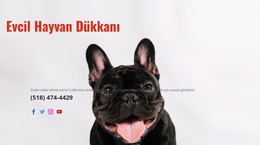 Özel Dükkan - Özelleştirilebilir Profesyonel WordPress Teması