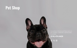 Web Page Design For Specialty Shop