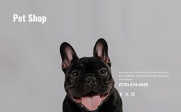 Premium Website Design For Specialty Shop