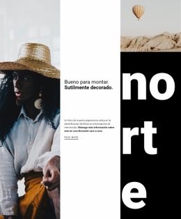 Diseño De Sitio Web Para Moda De Festivales De Arte