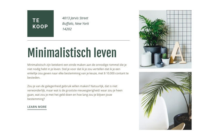 Scandinavisch design Website mockup