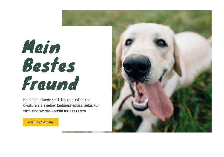 Hundepflegetechniken Website-Modell