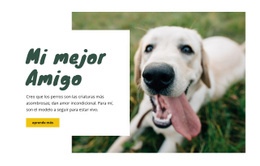 Técnicas De Cuidado De Perros - HTML Template Builder