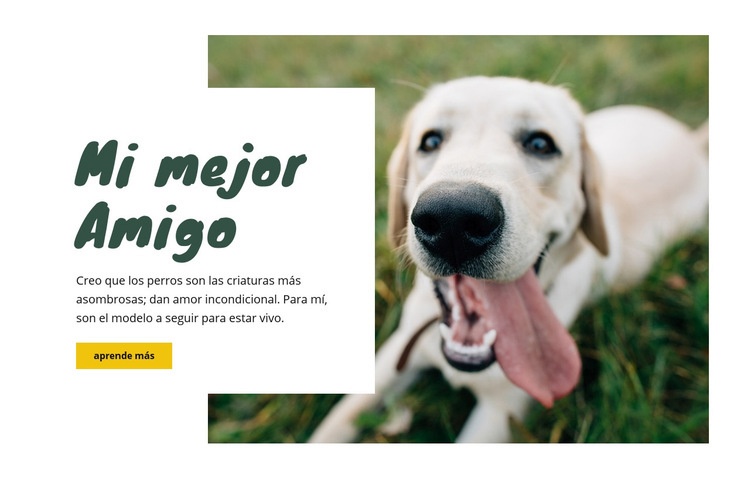 Técnicas de cuidado de perros Maqueta de sitio web