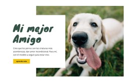 Técnicas De Cuidado De Perros Plantilla De Sitio Web CSS