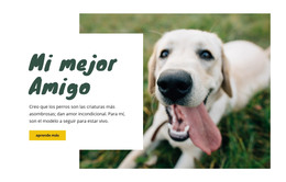 Plantilla CSS Para Técnicas De Cuidado De Perros