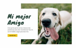 Técnicas De Cuidado De Perros: Plantilla Adaptable HTML5