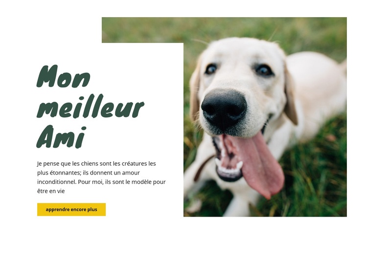 Techniques de soins pour chiens Maquette de site Web