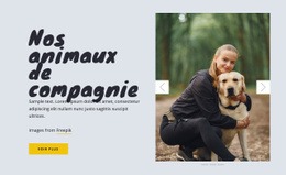 Nos Animaux De Compagnie