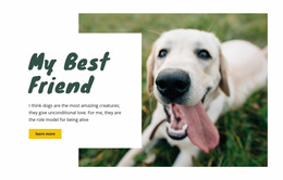 Dog Care Techniques - HTML Template Builder