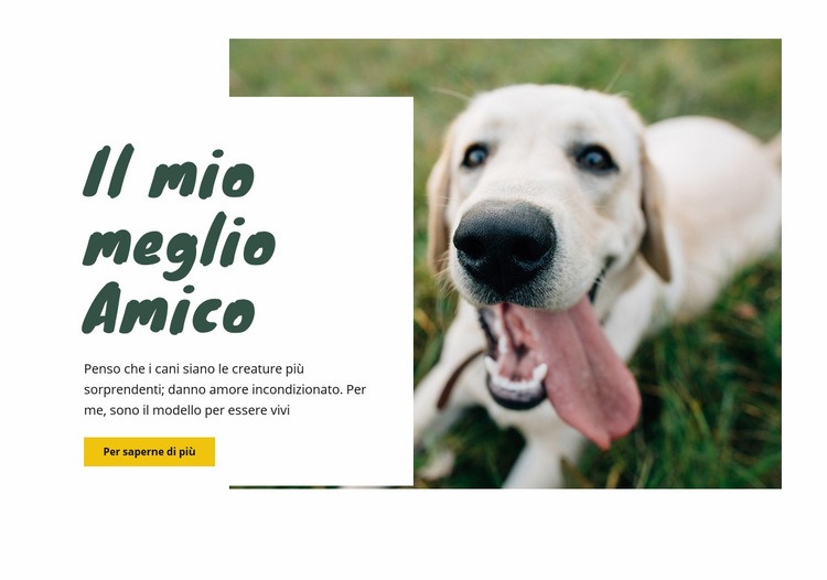 Tecniche di cura del cane Costruttore di siti web HTML