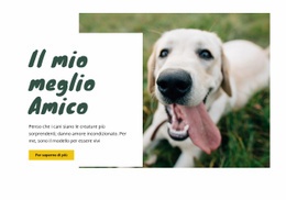 Tecniche Di Cura Del Cane - Progettazione Semplice Del Sito Web