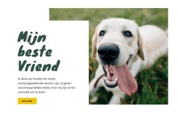 Hondenverzorgingstechnieken - Responsieve HTML5-Sjabloon