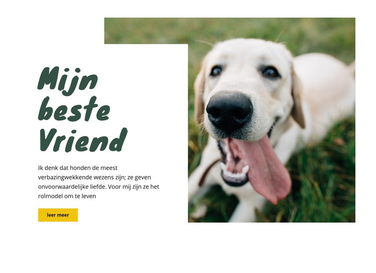 Hondenverzorgingstechnieken Website Builder-sjablonen