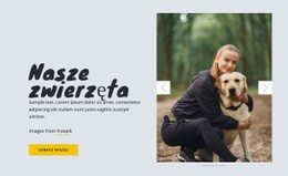 Nasze Zwierzęta - Makieta Online