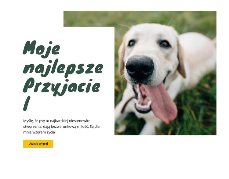 Techniki pielęgnacji psów Makieta strony internetowej