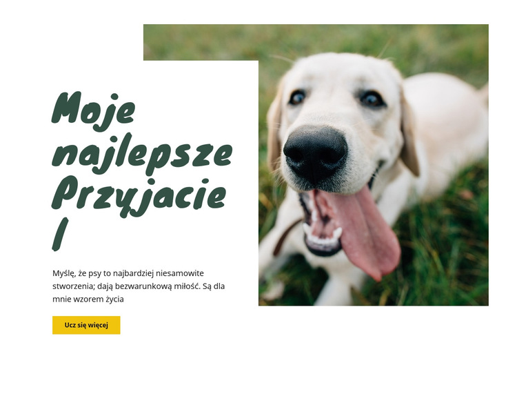 Techniki pielęgnacji psów Szablon witryny sieci Web