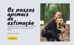 Os Nossos Animais De Estimação