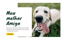 Técnicas De Cuidado Do Cão Modelo De Site CSS
