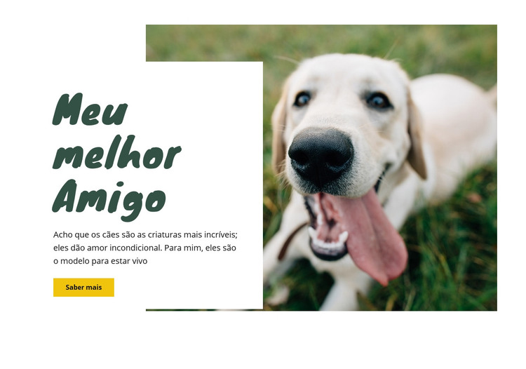 Técnicas de cuidado do cão Modelo HTML