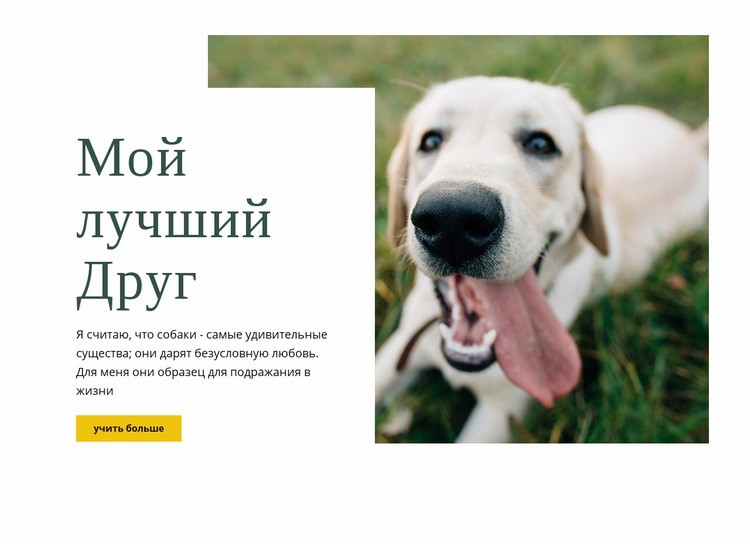 Техники ухода за собакой Мокап веб-сайта