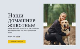 Наши Домашние Животные – Тема WordPress