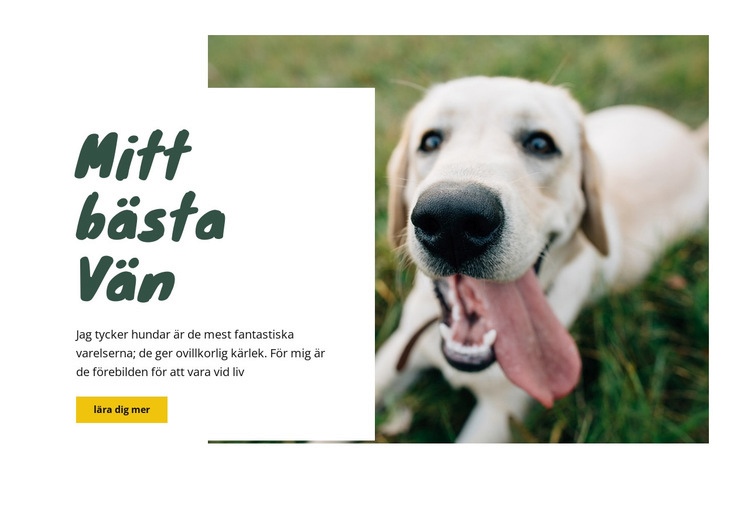 Hundvårdstekniker HTML-mall