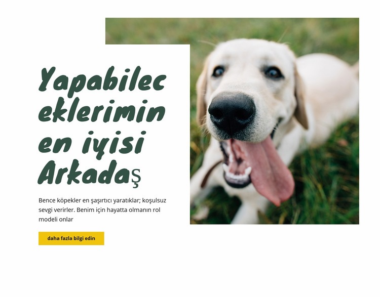 Köpek bakım teknikleri HTML5 Şablonu