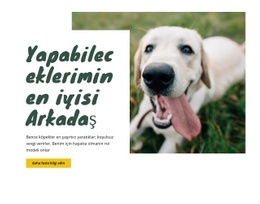 Köpek Bakım Teknikleri - Tek Sayfalı Tasarım