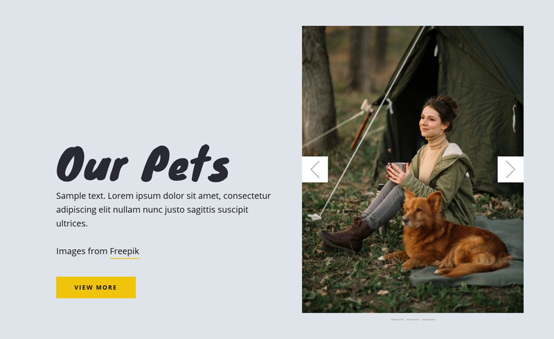 Our Pets Web Page Design
