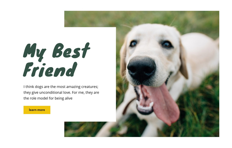 Dog care techniques Web Page Design